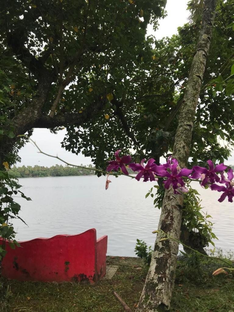 Ashtamudi Villa Kollam Luaran gambar