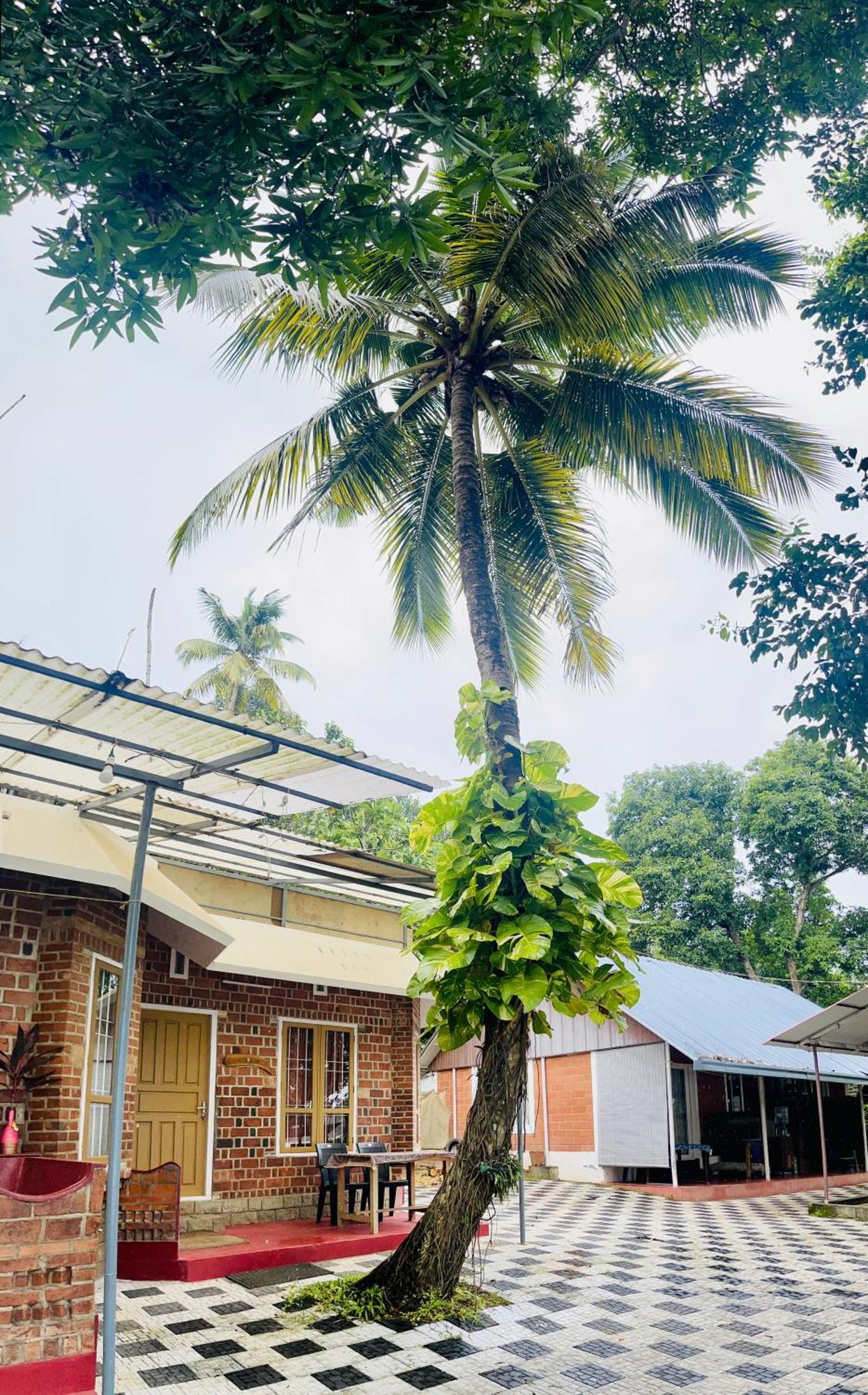 Ashtamudi Villa Kollam Luaran gambar