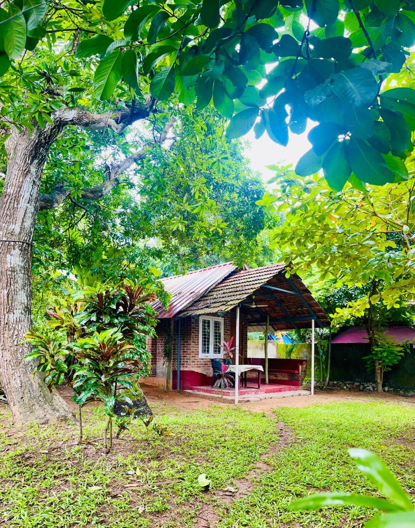 Ashtamudi Villa Kollam Bilik gambar